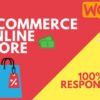 I will Develop an E-Commerce Website for your company